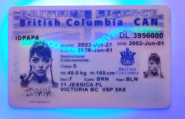 British Columbia Fake IDs British Columbia Fake id front side