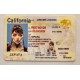 California Fake IDs California Fake id front side
