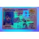 California Fake IDs California Fake id front side