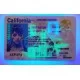California Fake IDs California Fake id front side