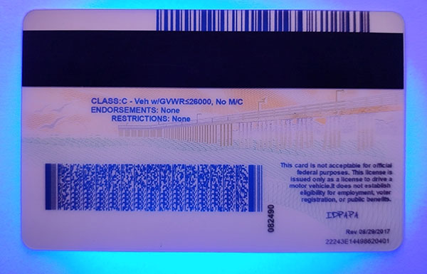 California Fake IDs California Fake id front side