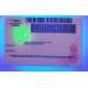Connecticut Fake id front side