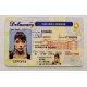 Delaware Fake IDs Delaware Fake id front side