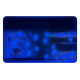 2025 New York Scannable ID 2025 New York Scannable ID