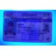 Nevada Fake Dirvers Licence Nevada Fake id front side