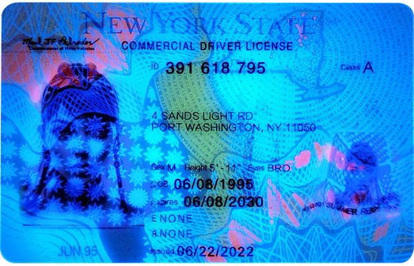 New York Novelty CDL New York Novelty CDL