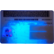 New York Novelty CDL New York Novelty CDL