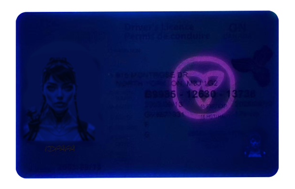 Upgrade Version Ontario Scannable ID Ontario Fake id front side