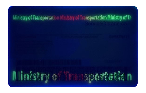 Upgrade Version Ontario Scannable ID Ontario Fake id front side