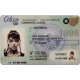 Ohio Novelty CDL Ohio Novelty CDL