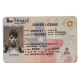 Upgrade Version Texas Scannable ID Texas Fake id front side