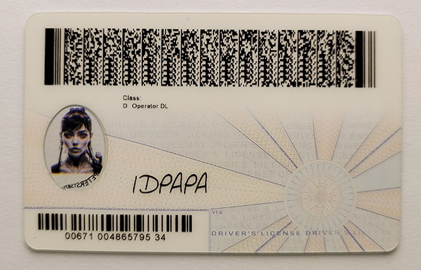 Virginia Fake Dirvers Licence Virginia Fake id front side