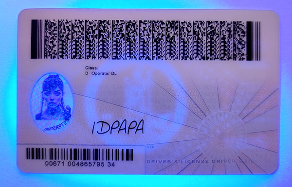 Virginia Fake Dirvers Licence Virginia Fake id front side